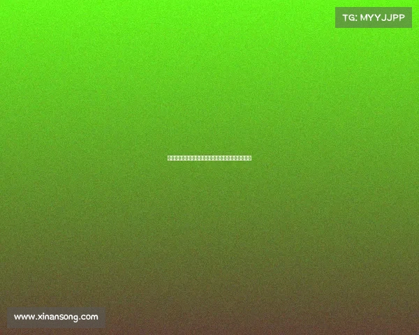 德甲降级球队展望新赛季重返顶级联赛之路与挑战分析